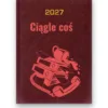 Kalendarz książkowy BALADEK 2027 z grawerem: Segregatory i telefon — Ciągle coś